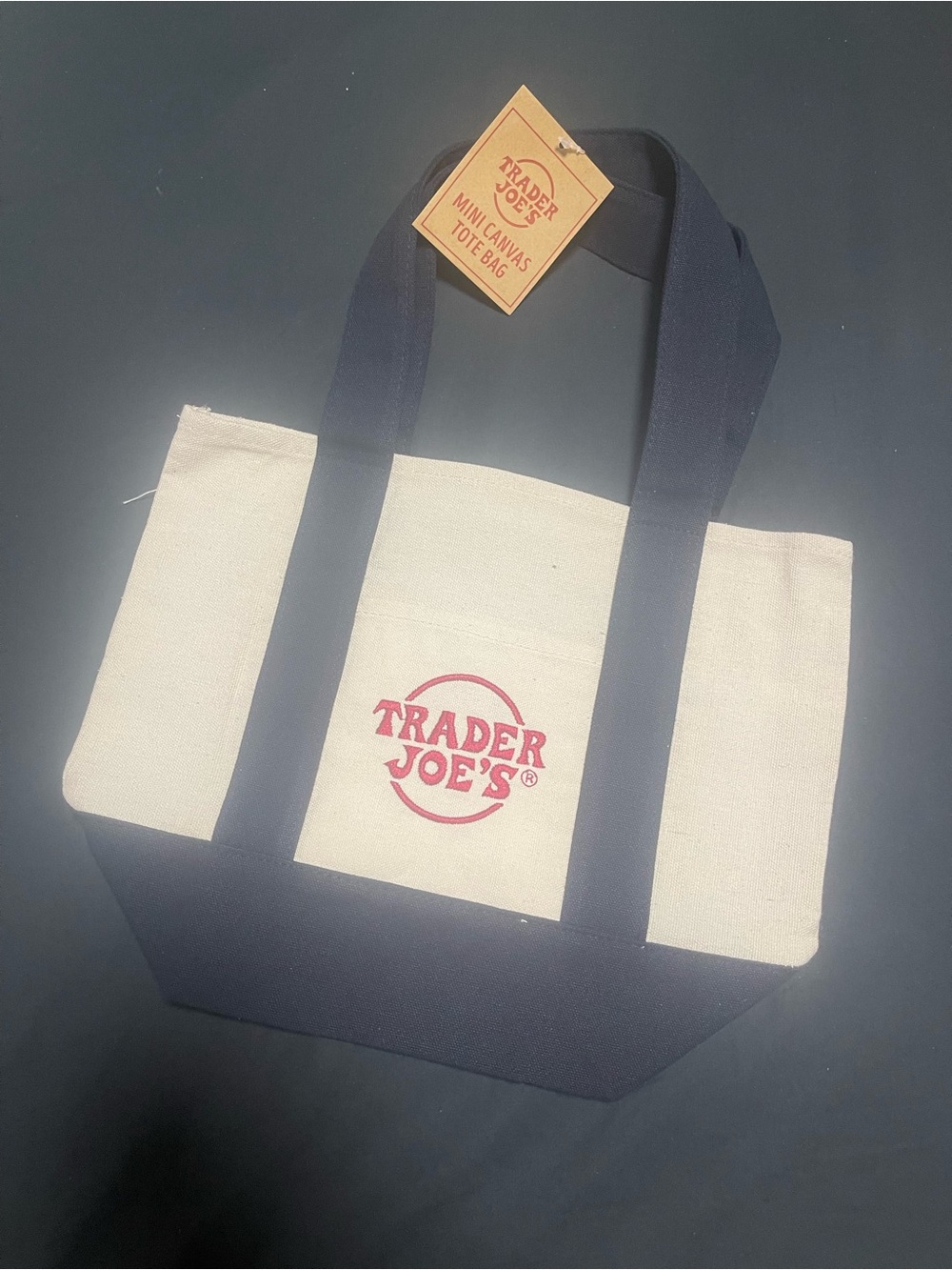 Trader Joe's Canvas Mini Tote in Natural with Navy Handles
